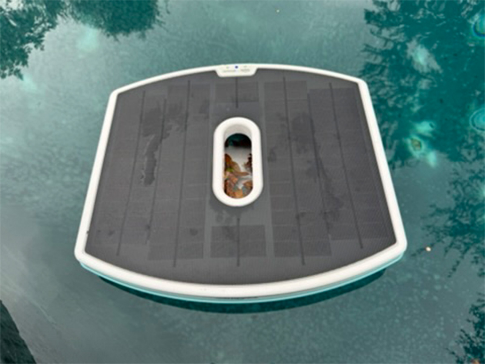 The Dolphin Skimmi floating in the pool mid-cycle
