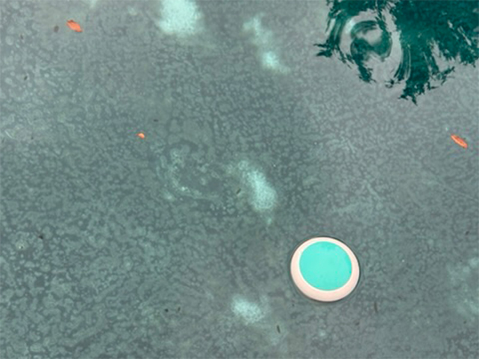 The ICO drifting across the pool, seen from above