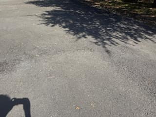 The aged surface under the tree shade before sealing