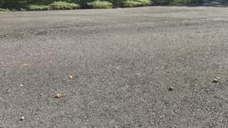 Leaves and debris on the aged asphalt surface before cleaning