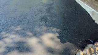 Wet coating broomed up to the concrete curb along the edge of the driveway