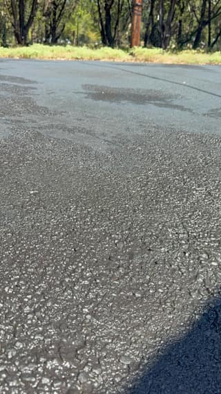 Freshly sprayed asphalt-emulsion sealer, still wet and glossy, with the trees along the driveway in the background