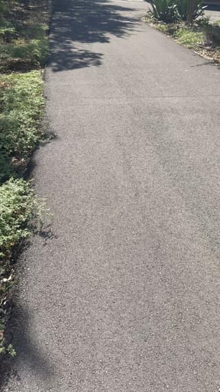 Weeds growing in along the edge of the worn asphalt, one of the things preparation needs to address