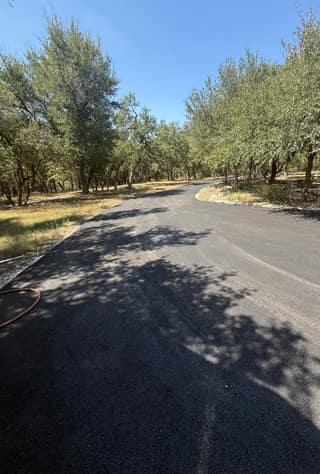 The freshly paved asphalt driveway curving through the trees, with a garden hose still lying along the left edge