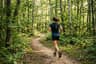 A trail runner at an easy pace on a forest singletrack