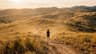 Zone Running Explained: How Heart Rate Zones Make Easy Runs Work