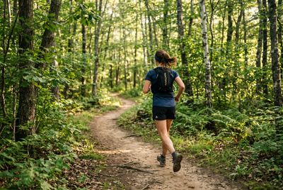 A trail runner at an easy pace on a forest singletrack