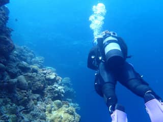A scuba diver above an Okinawa reef