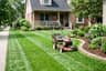 Lawn & Yard