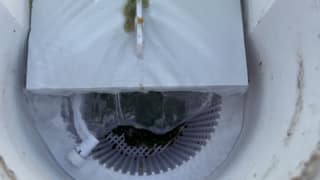 A skimmer basket filled with wet leaves and dark debris