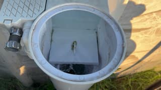 An above-ground skimmer housing and hose connection viewed from outside the pool wall