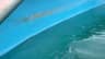 Brown debris and film collected along an above-ground vinyl pool waterline