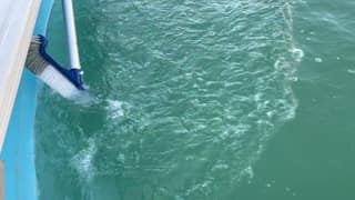 A soft brush working directly across the waterline of a vinyl liner