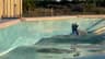 A pool brush scrubbing the wall and waterline where grime collects