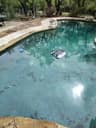 The pool after cleanup with clear water and a robotic surface skimmer running