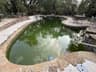 Murky green pool water beside the stone coping before treatment