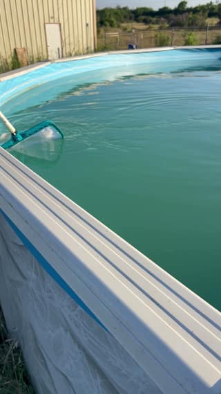 A leaf rake on a long pole reaching across the pool surface