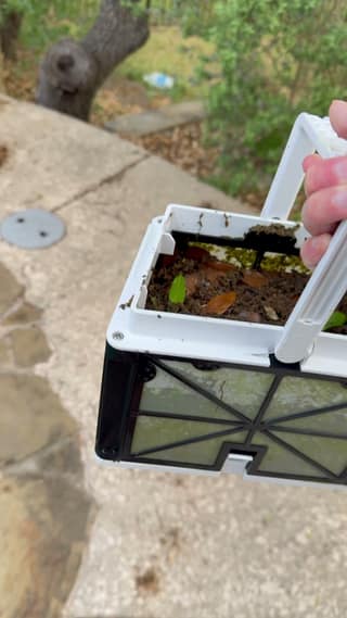 The Escape's standard mesh basket carrying leaves and coarse debris