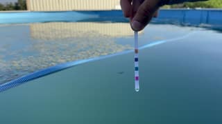 Pool test-strip pads changing color over green water