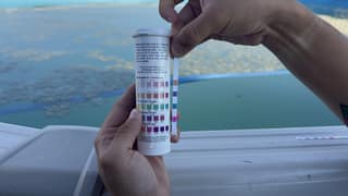A pool test strip held against the color chart on its bottle