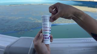 A test strip beside the matching chlorine, pH, alkalinity, hardness, and stabilizer rows