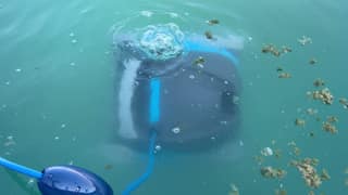 The Dolphin Cayman sinking into cloudy water at the start of a cleaning cycle