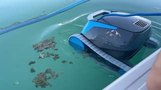 The Dolphin Escape floating among clumps of algae as it sinks into the pool