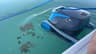The Dolphin Escape entering the cloudy green pool before a cleaning cycle