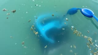 The older Dolphin Nautilus CC Plus descending through cloudy green water