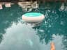 My Ondilo ICO floating near the pool wall while it monitors pH and ORP