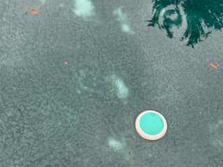 The ICO floating across my pool between hourly readings